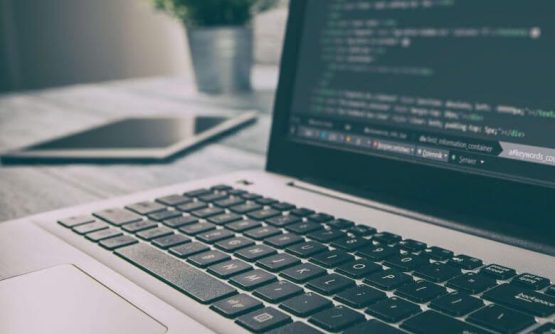 Desarrollo web vs Diseño Web