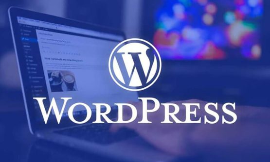 ¿Qué es WordPress y cómo protegerlo?