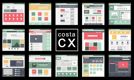 ¿Cuáles Themes y plugins de WordPress usar?