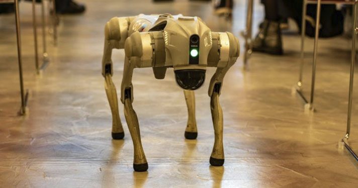 Call to extend ethical guidelines on artificial intelligence (AI) to include animals Call to extend artificial intelligence (AI) ethics guidelines to include animals, CostaCx