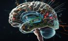El cerebro inspira los nuevos microchips, CostaCx